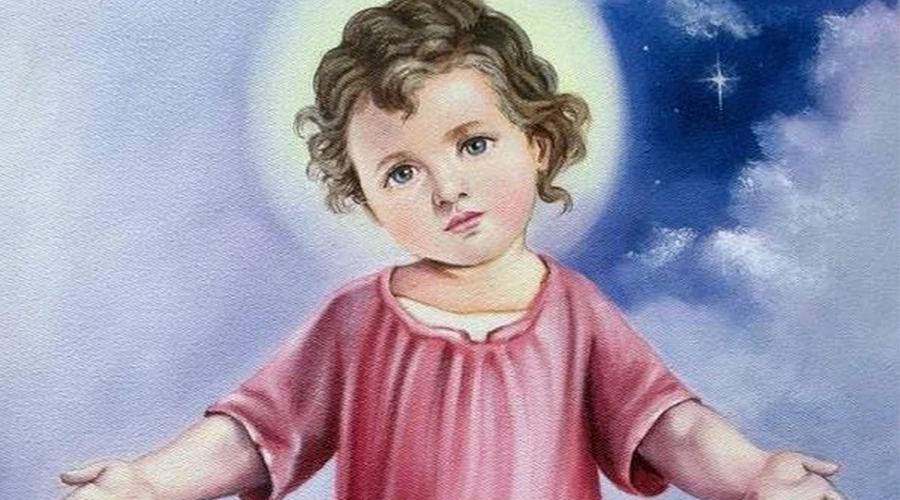 Hogar Divino Niño de Jesús Logo